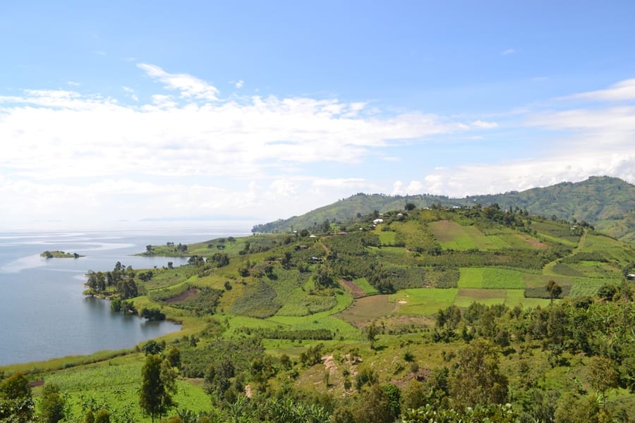 Sviluppo agro alimentare nella penisola di Buzi-Bulenga (Repubblica Democratica del Congo)